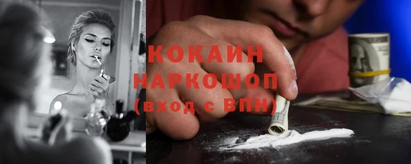 тгк Алзамай