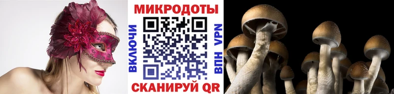 KRAKEN вход  Большой Камень  Псилоцибиновые грибы ЛСД 