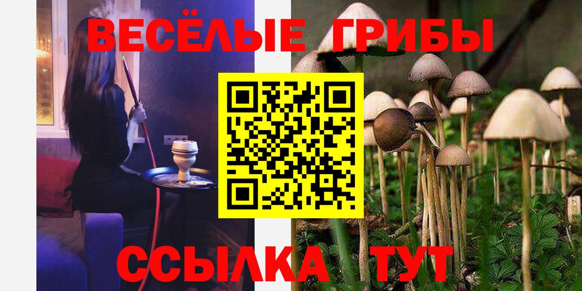 Галлюциногенные грибы Cubensis Большой Камень
