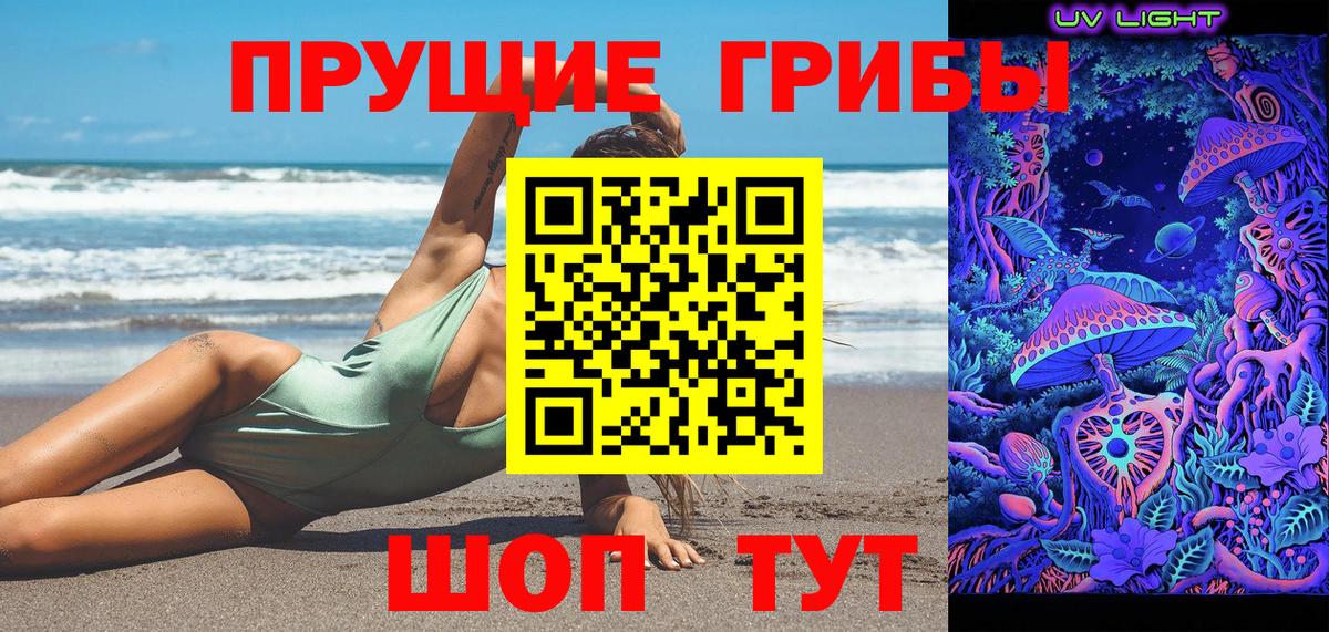 Большой Камень  Псилоцибиновые грибы GOLDEN TEACHER  Псилоцибиновые грибы Magic Shrooms  Вход с VPN 